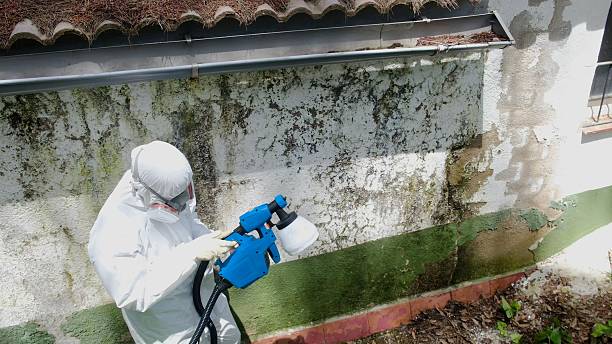 Top rated local Mold Inspection And Testing specialists in Orrstown, PA